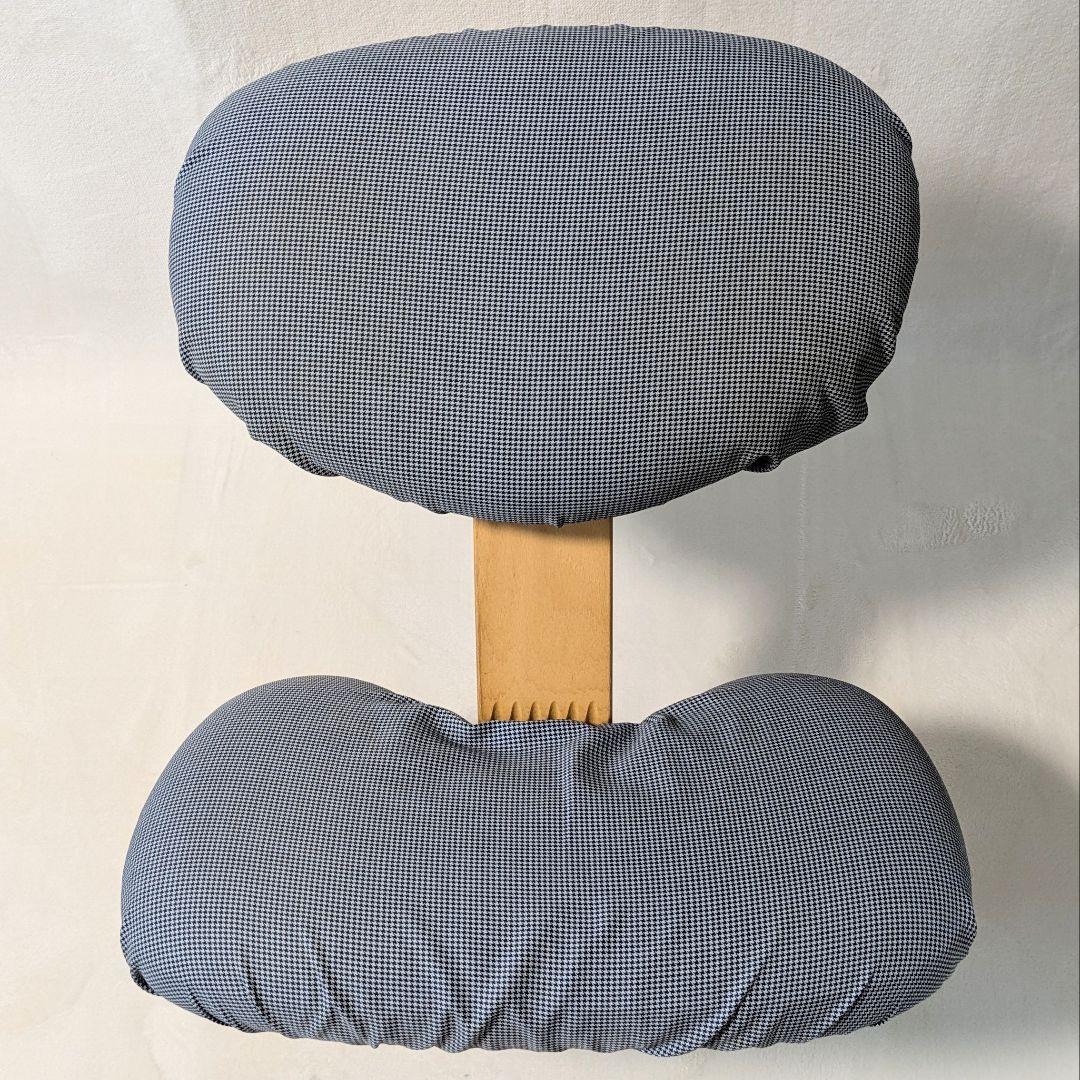 Rybo リボ バランスチェア バランスイージー チェックカバー付