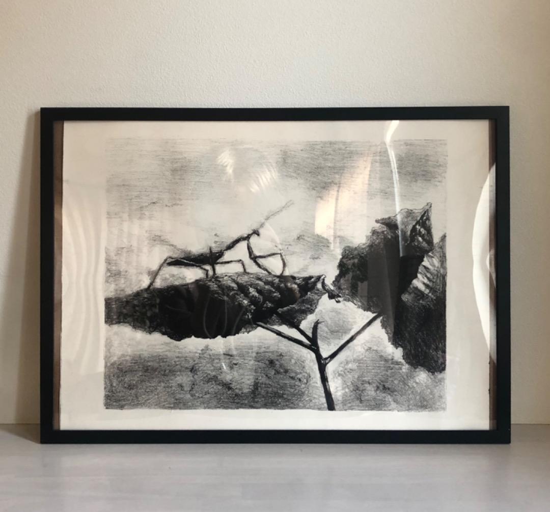 版画　kamakiri 額装済