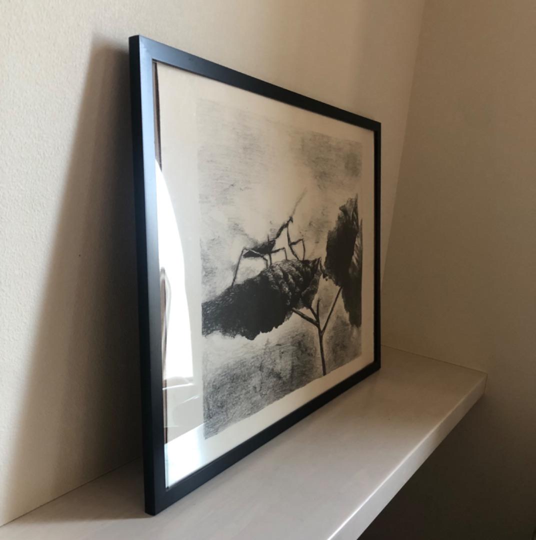 版画　kamakiri 額装済