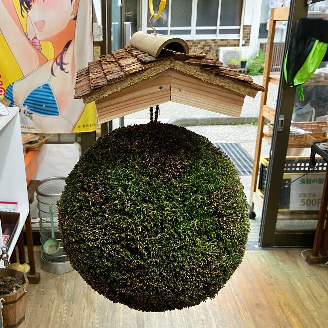 杉玉【屋根付き】②