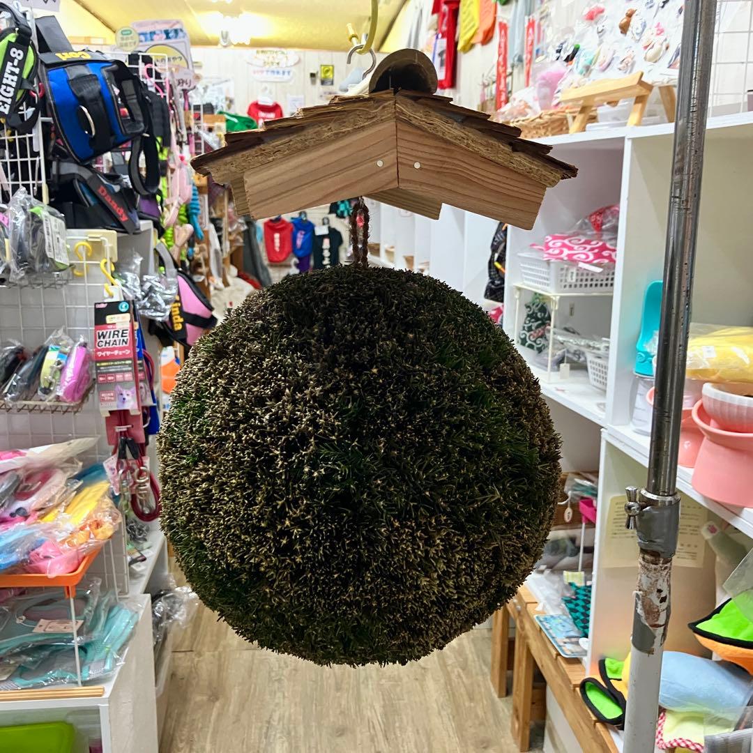 杉玉【屋根付き】②