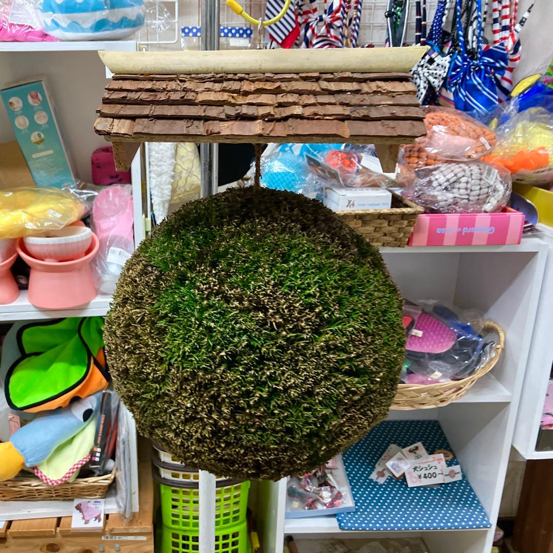 杉玉【屋根付き】②