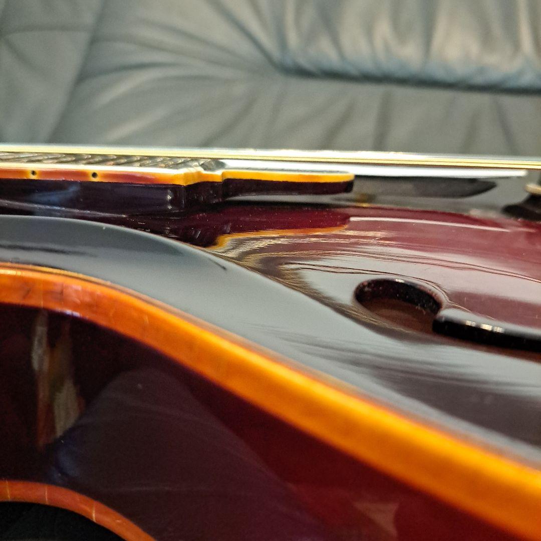 希少！アイバニーズヴィンテージフラットマンドリン！ - メルカリ 超