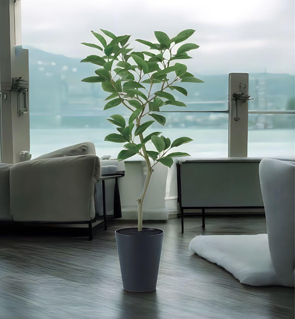 光触媒　人工観葉植物　ウォールグリーン　フェイクグリーン　デコラゴム150