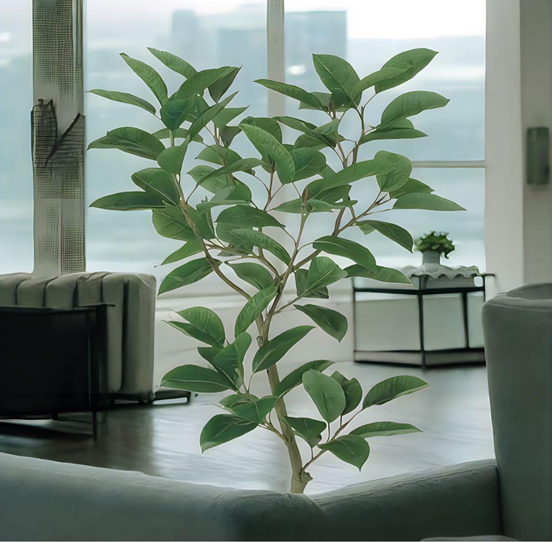 光触媒　人工観葉植物　ウォールグリーン　フェイクグリーン　デコラゴム150