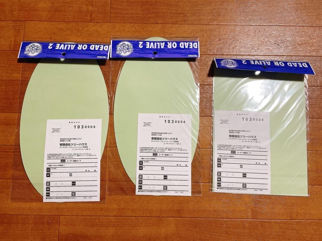 DEAD OR ALIVE 2 レイファン エッチングステッカー 3枚 30cm