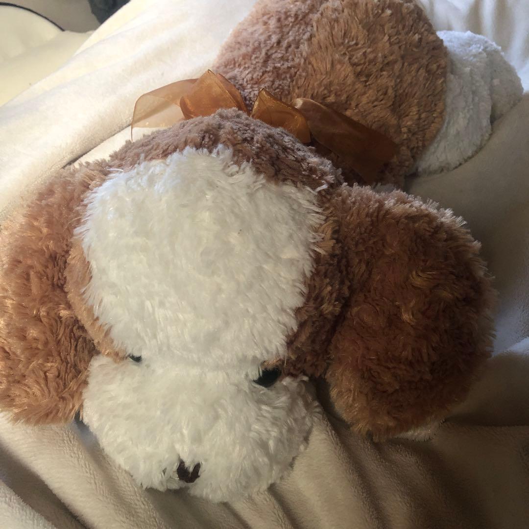 ANIMAL Aalley ぬいぐるみ セット いぬ アニマルアレイ トイザらス