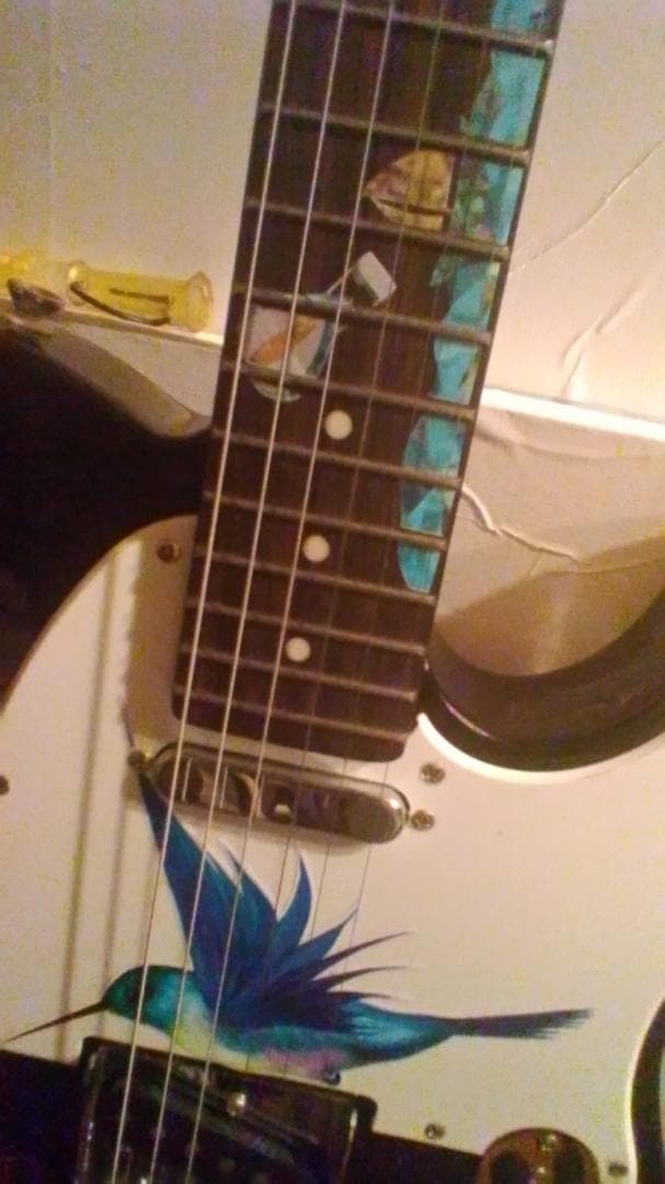 ハワイアン柄インレイ ハチドリ ハイビスカス ギター期間限定新春特価