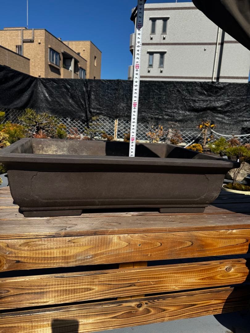 陶器製 盆栽鉢 ダークブラウン 大きめ　22号