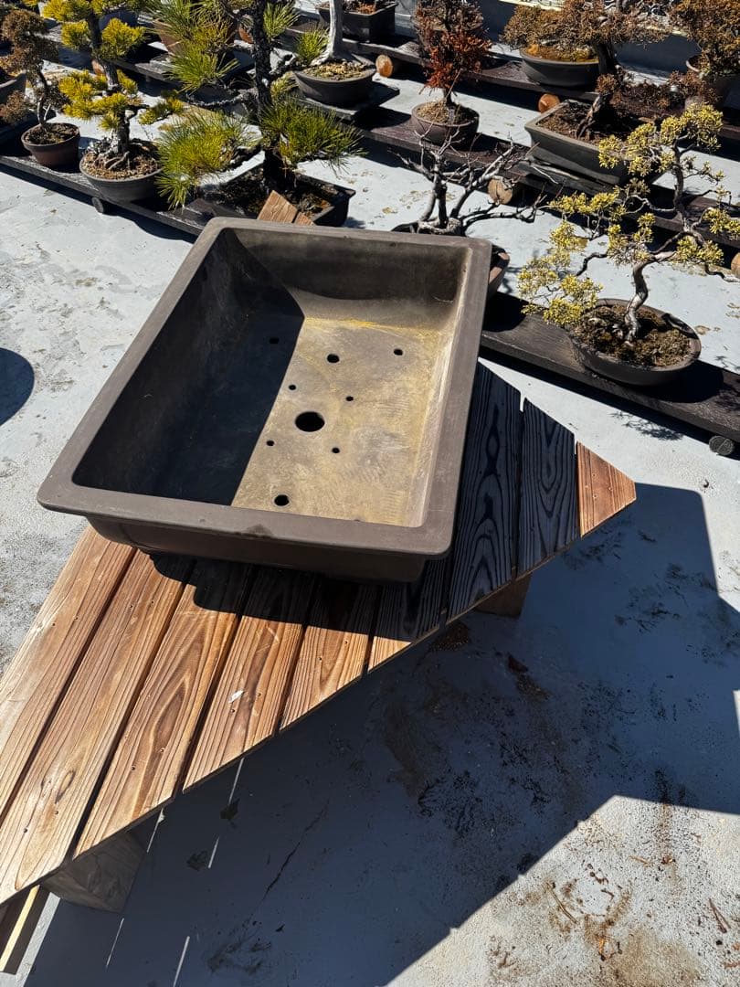 陶器製 盆栽鉢 ダークブラウン 大きめ　22号