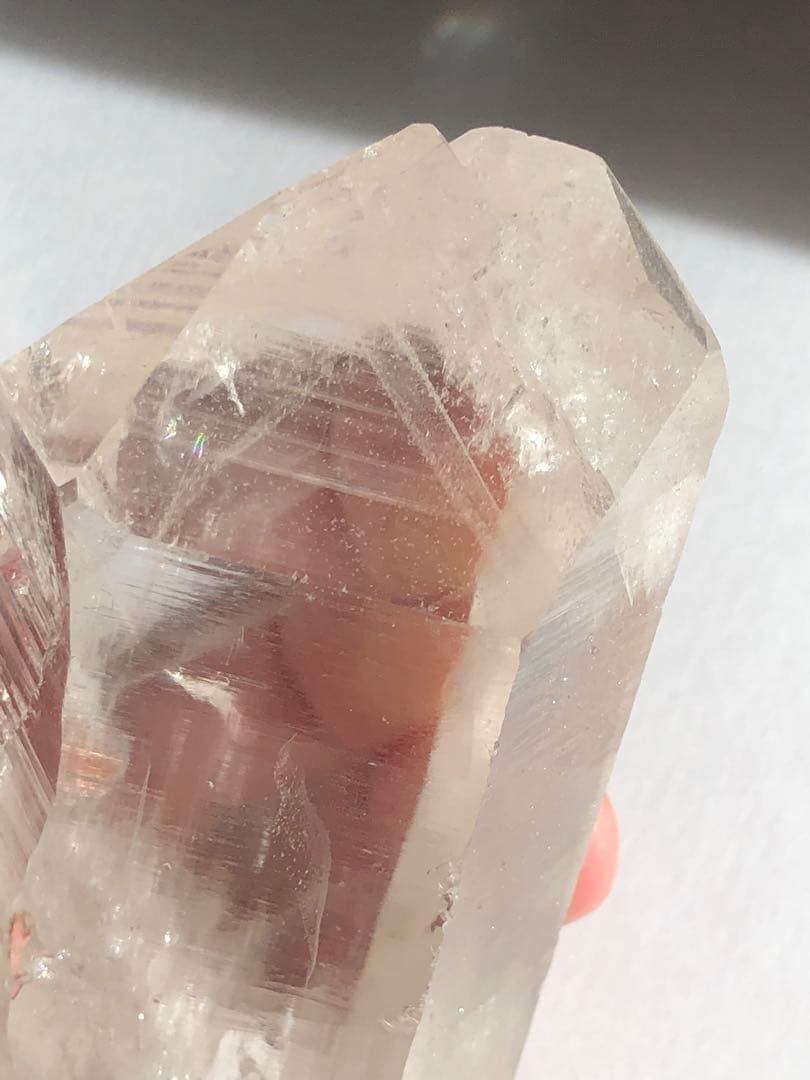 マニハール　レコードキーパー　セルフヒールド