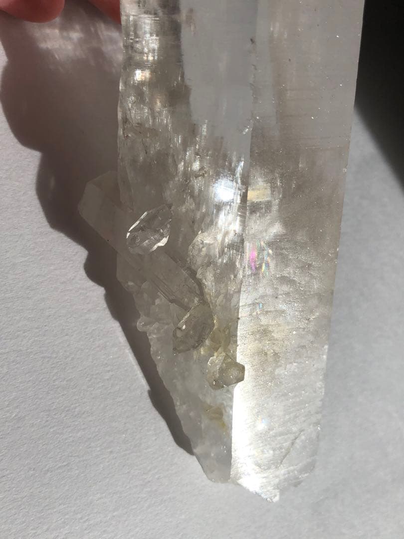 マニハール　レコードキーパー　セルフヒールド