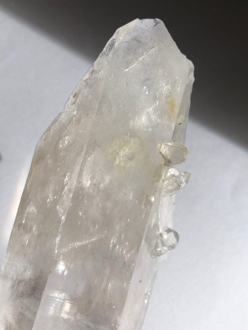 マニハール　レコードキーパー　セルフヒールド