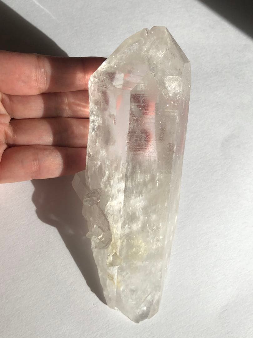 マニハール　レコードキーパー　セルフヒールド