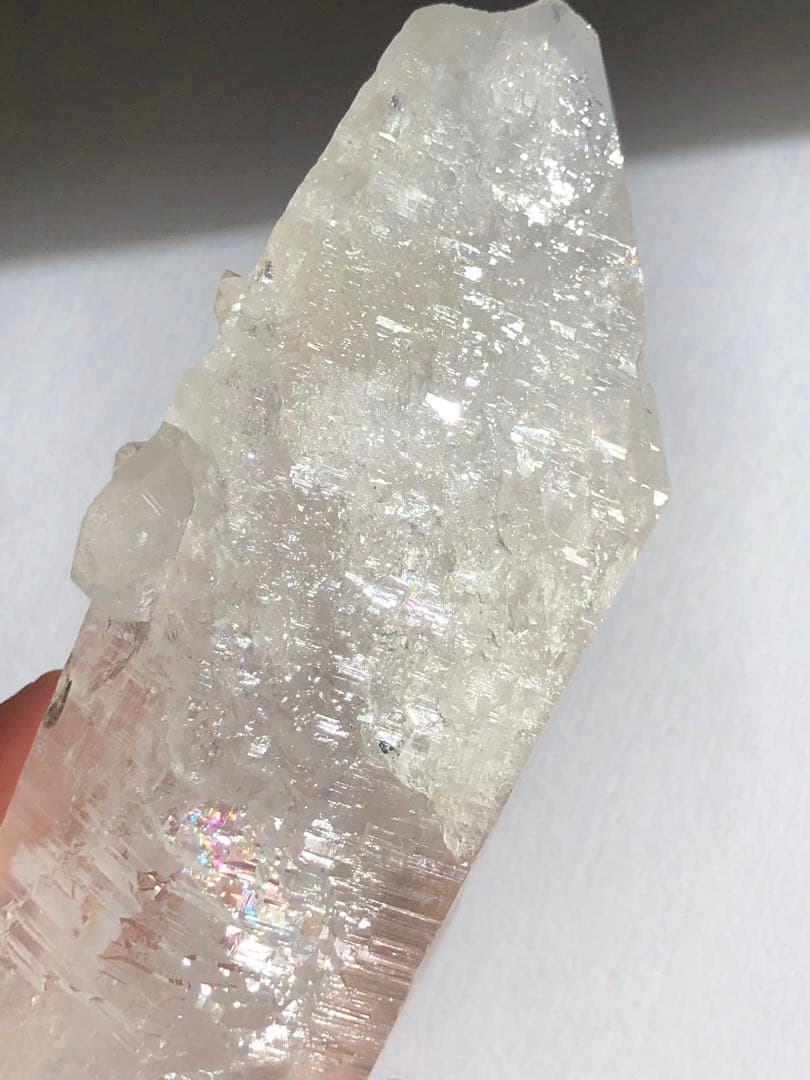 マニハール　レコードキーパー　セルフヒールド