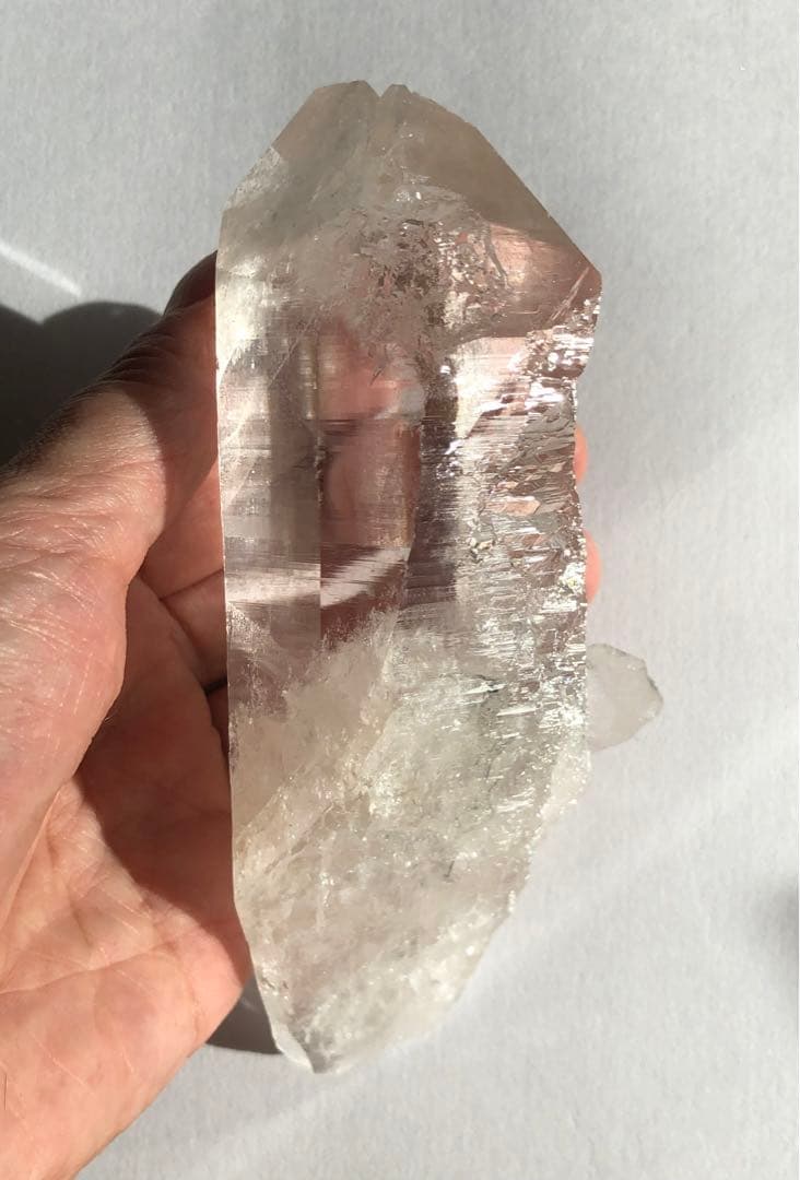 マニハール　レコードキーパー　セルフヒールド