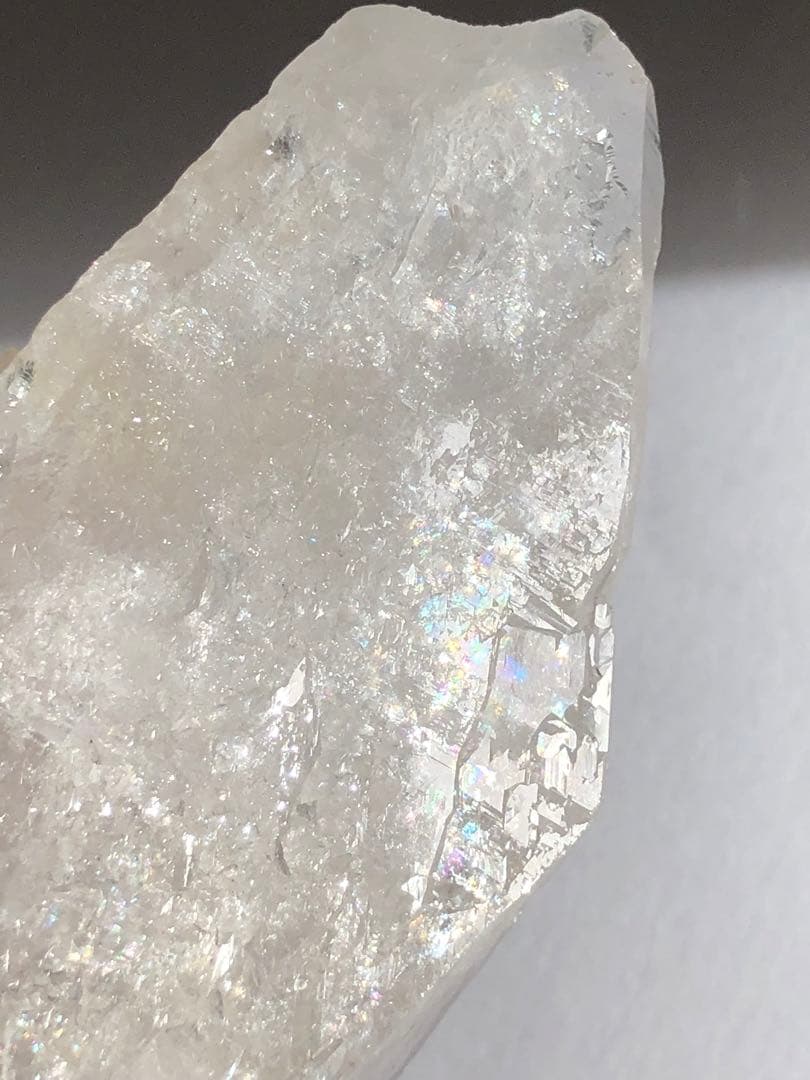 マニハール　レコードキーパー　セルフヒールド