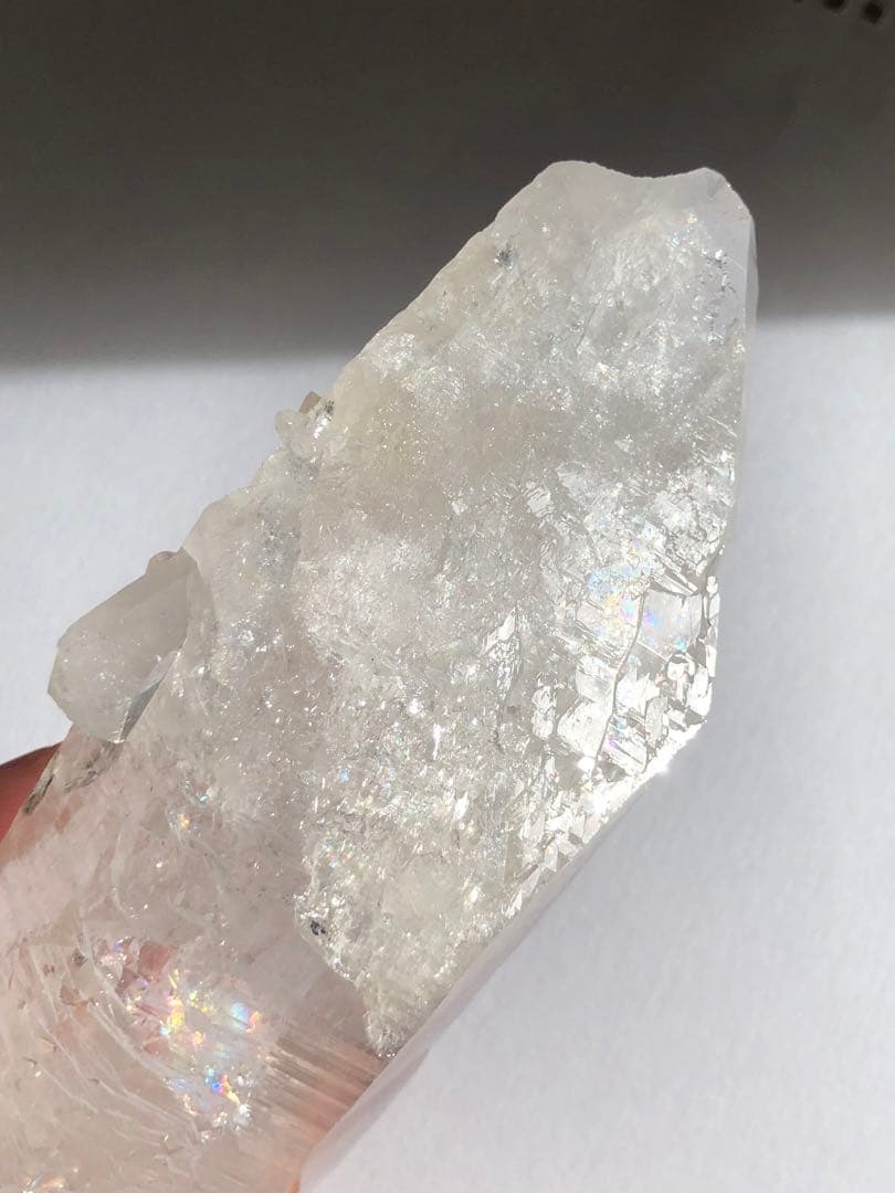 マニハール　レコードキーパー　セルフヒールド