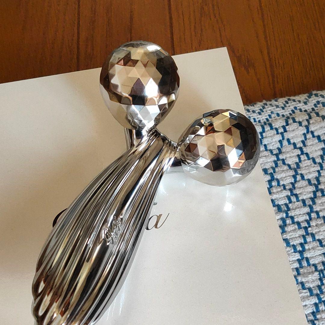 ReFa CARAT RAY 2021年2月末購入 正規品