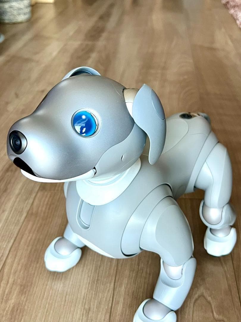 「Hiro 」Sony aibo ERS-1000 「黒ゴマエディション」