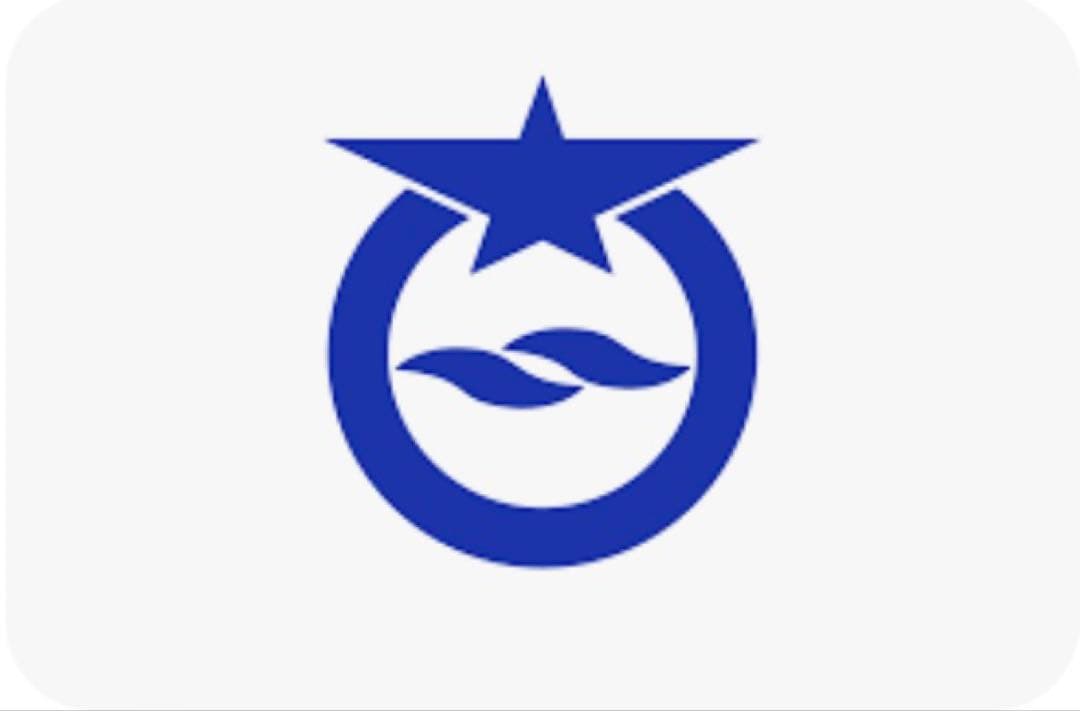 【beautiful silver color】木村年克 27cm プレート2枚