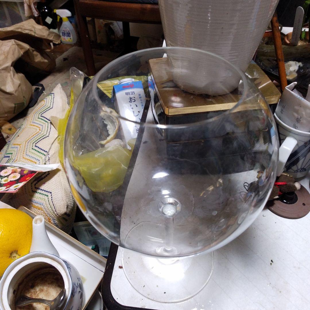 食器 Bacara  Testing Glass