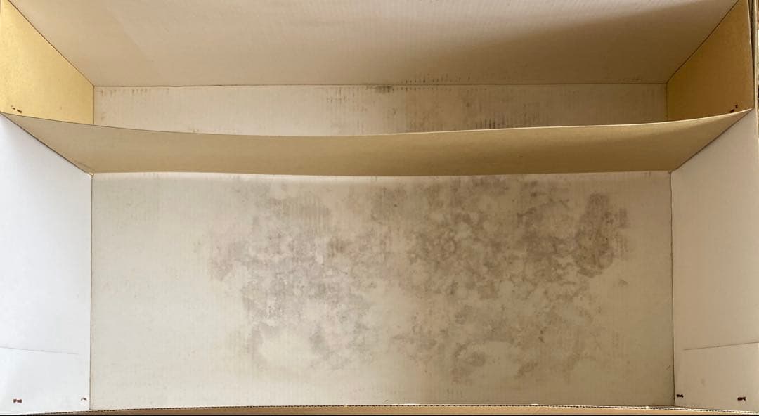 タミヤ 1/10 ピア ナカジマ レイナード 97D