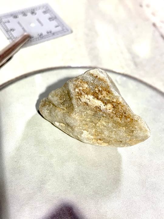 No.8 アルクトゥルスシーライト