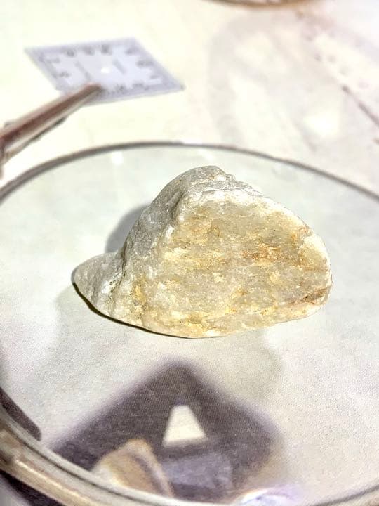 No.8 アルクトゥルスシーライト