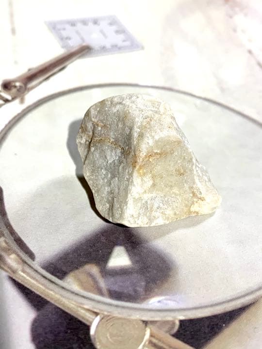 No.8 アルクトゥルスシーライト