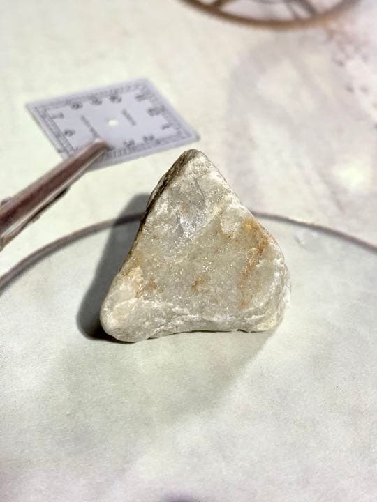 No.8 アルクトゥルスシーライト