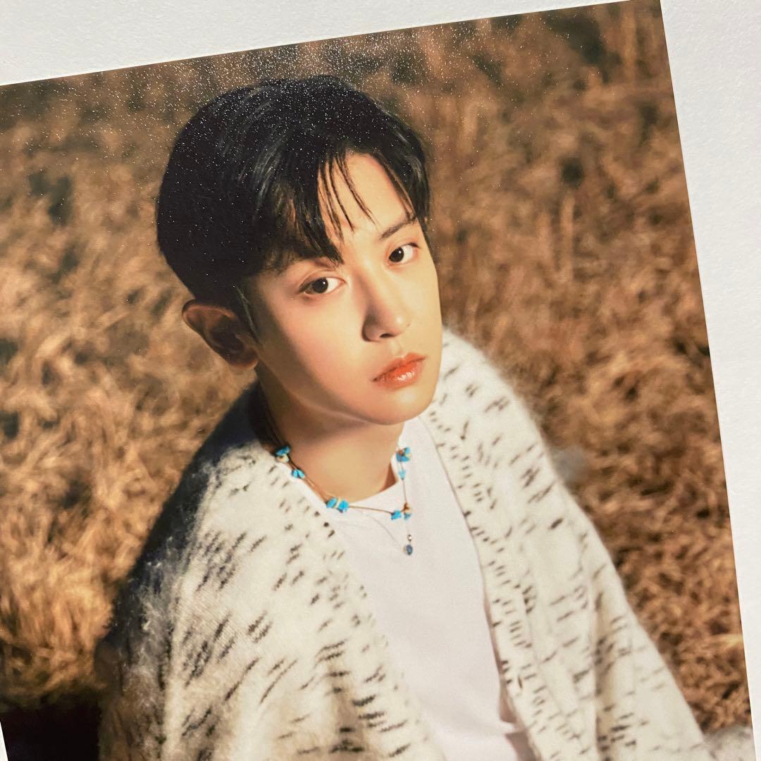 EXO】EXIST 4×6フォトABセット チャニョル CHANYEOL - メルカリ