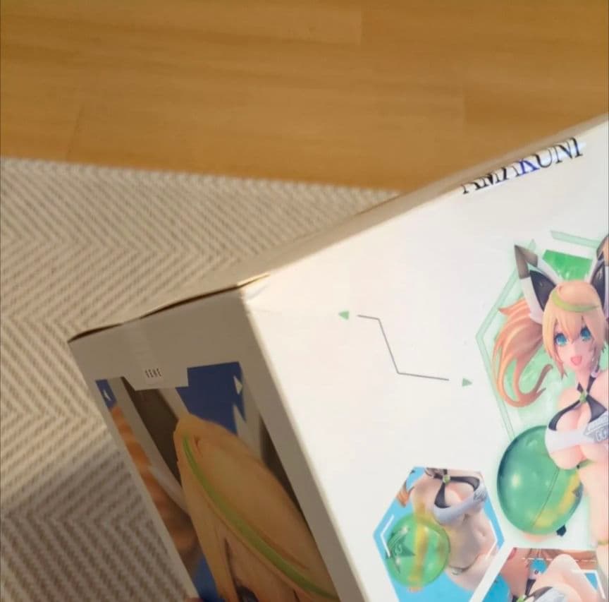 ジェネ サマーバケーション ファンタシースターオンライン2 es AMAKUNI