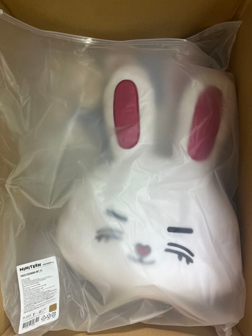 エスクプス　フェイス　クッション　miniteen