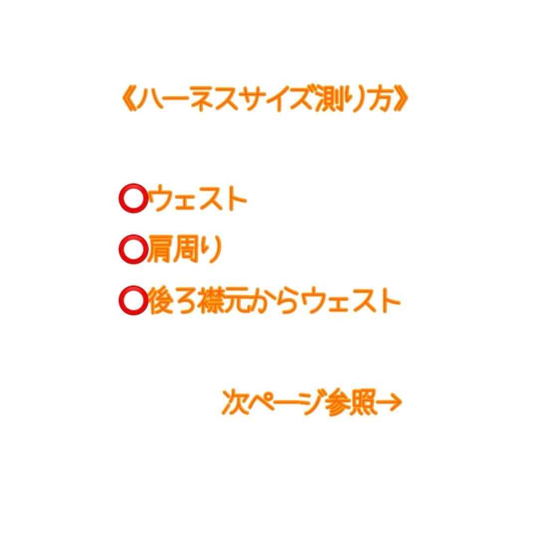 timelesz紛失防止ハーネス▷オーダーページ