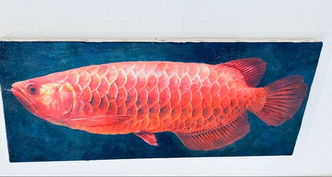 血紅龍　アロワナ　アクリルガッシュ　絵画　版画