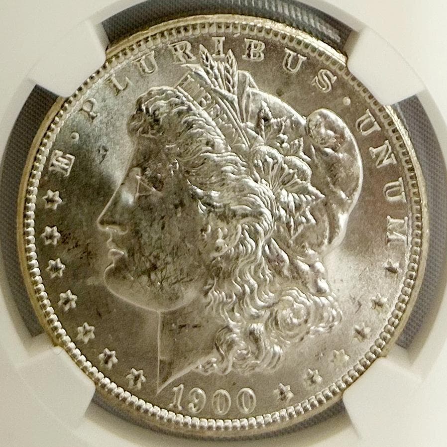 1900年 MORGAN SILVER $ アメリカNGC8665199-217