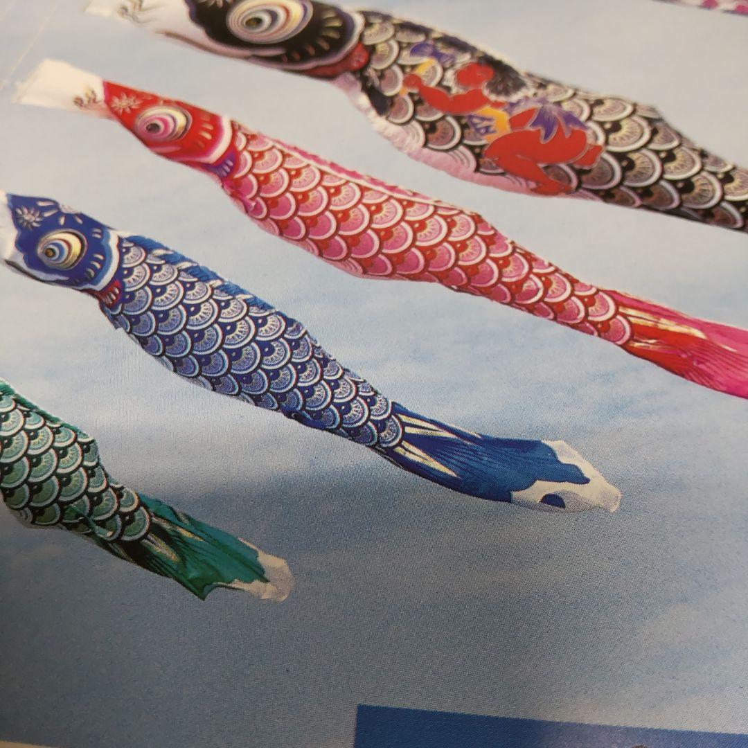 スパークル鯉 赤  5m