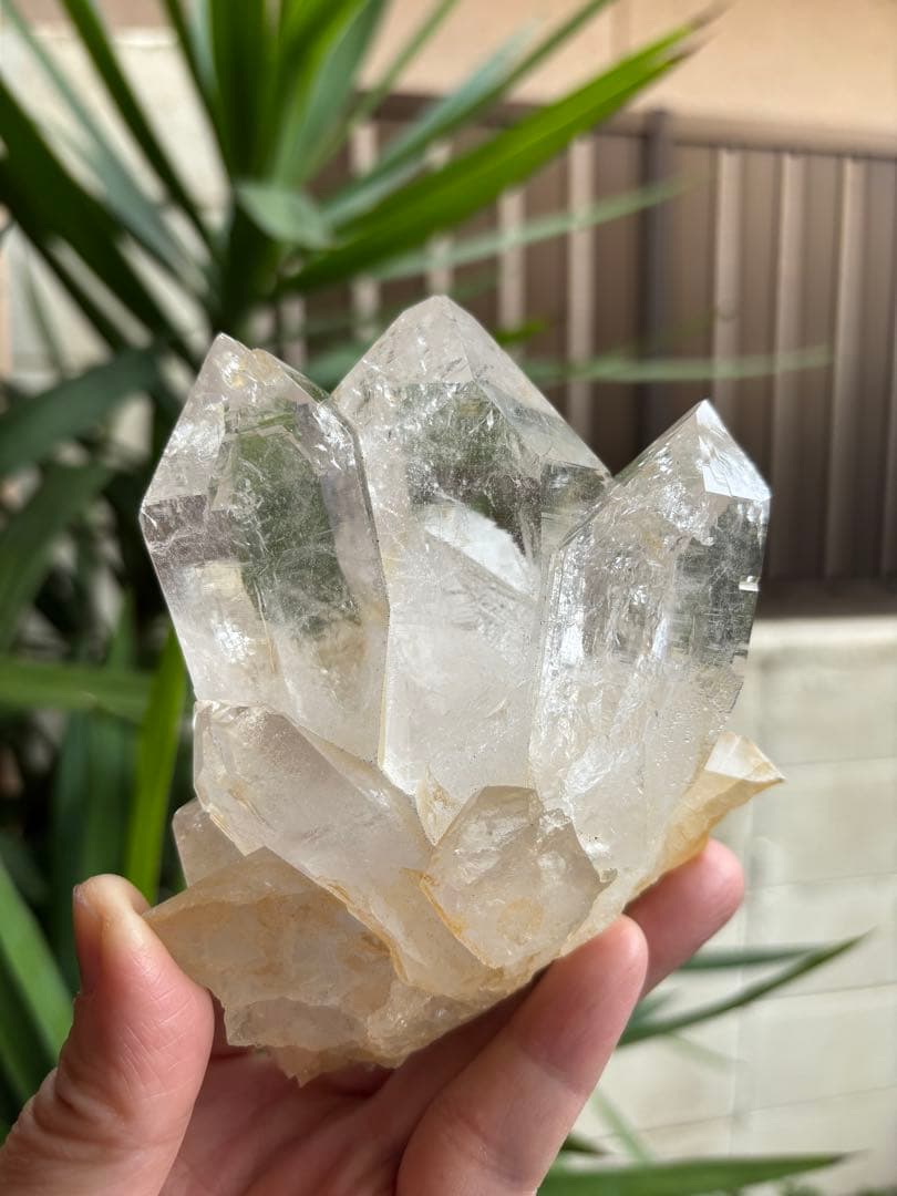 インド　ヒマラヤ　ヒマチャルプラデーシュ産　水晶クラスター　675g 姿良し