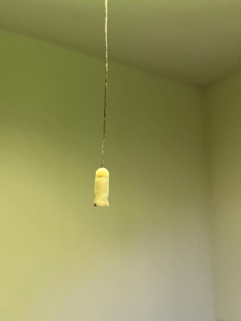 蛍光灯昭和レトロ 吊り下げ照明