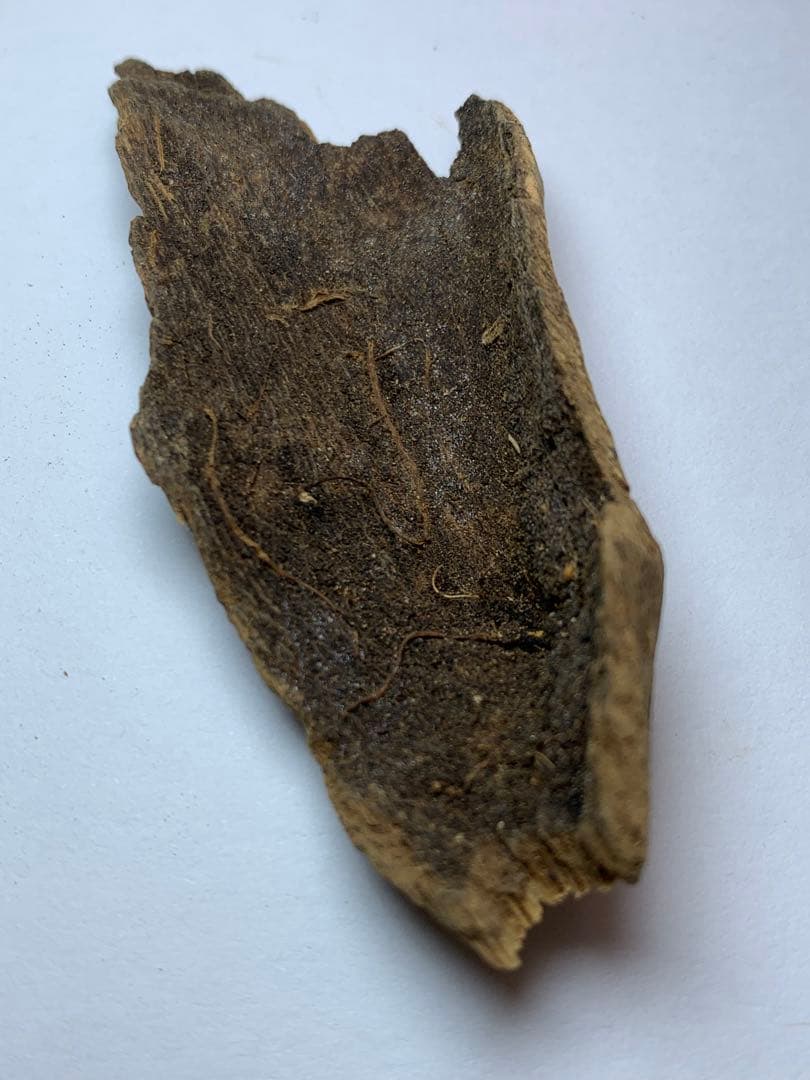 香木 ベトナム産  極品沈界7.695g 最高級沈香 聞香お香 沈香 伽羅 香道