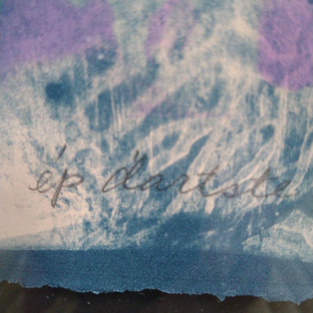 紫綬褒章受賞 【加納光於】 額装66×79cm 限定版 - メルカリ