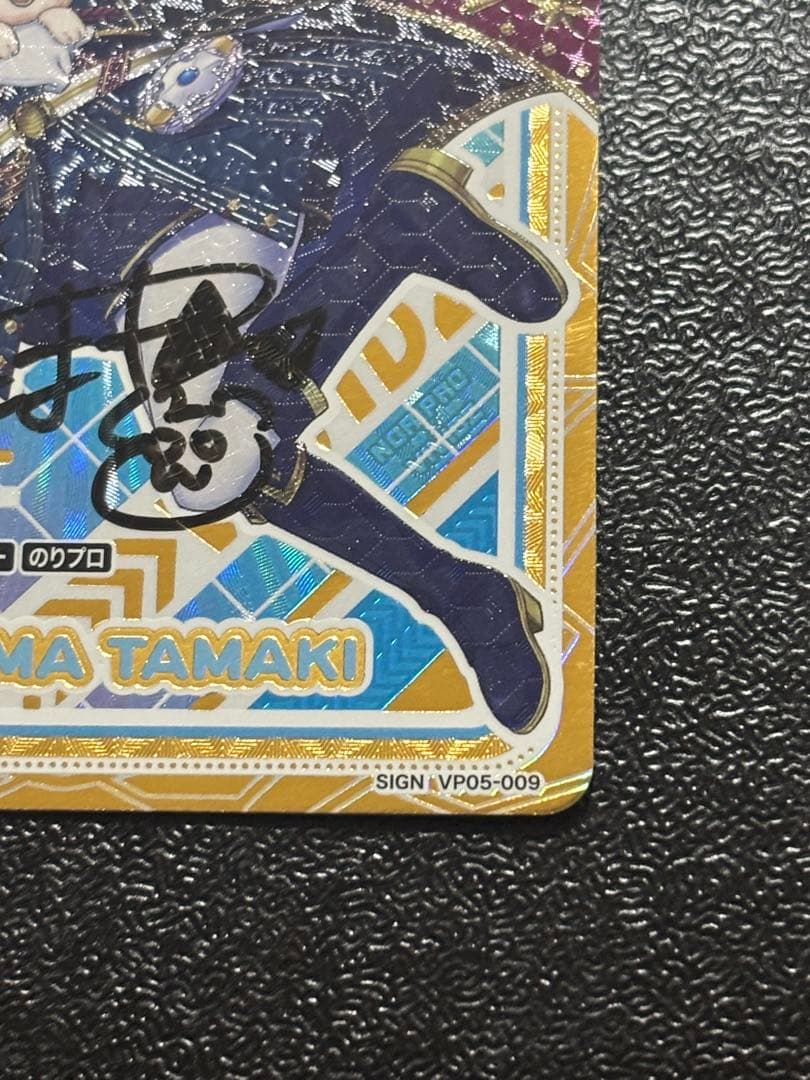 Vividz 犬山たまき 直筆サイン のりプロ SING プレシャスメモリーズ