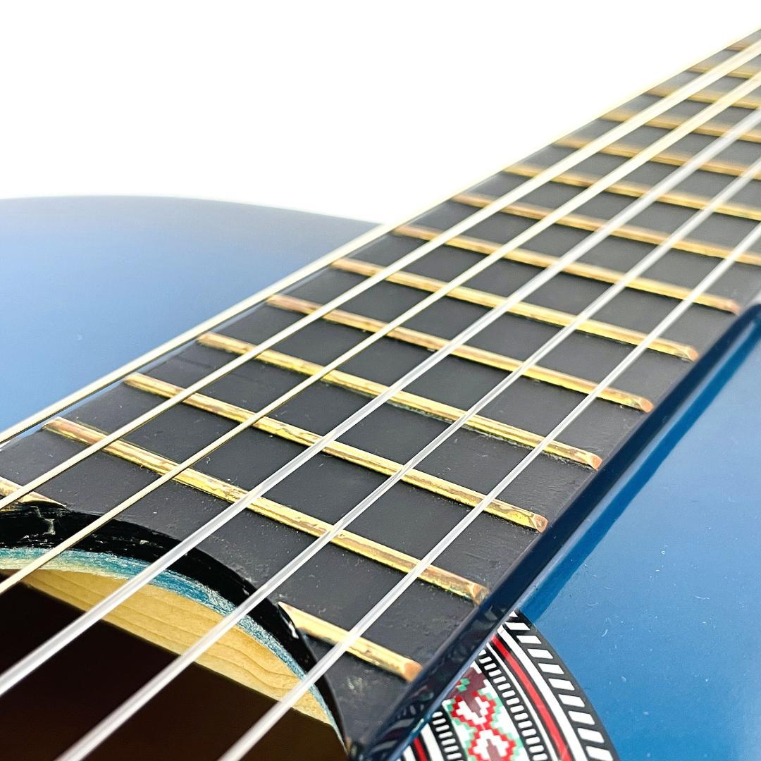 レア Freedom MAG945/BLS アコースティックギター【整備品】 - メルカリ