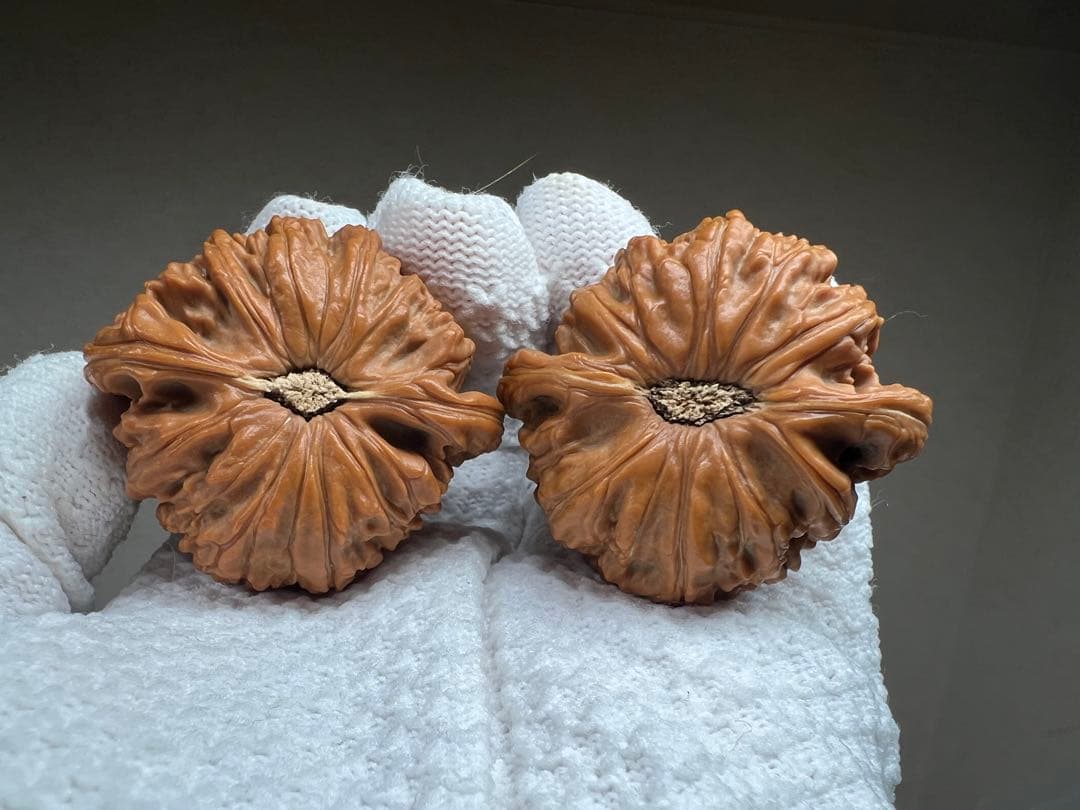 文玩堂：闷尖白獅子頭（47mm）