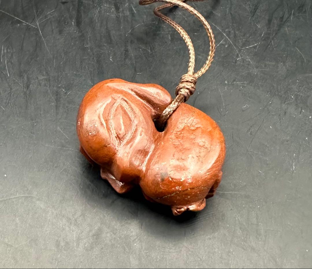 2026.2.8桜花海昼寝子犬魂玉　新潟赤玉