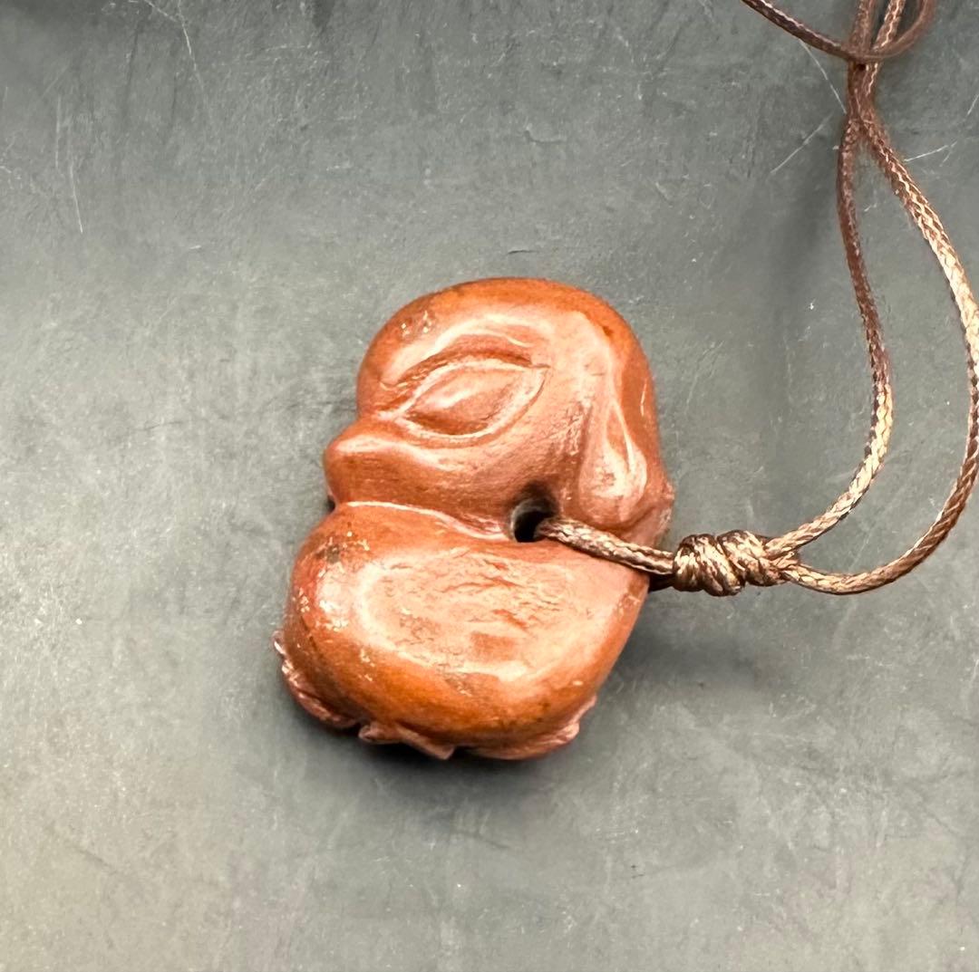 2026.2.8桜花海昼寝子犬魂玉　新潟赤玉