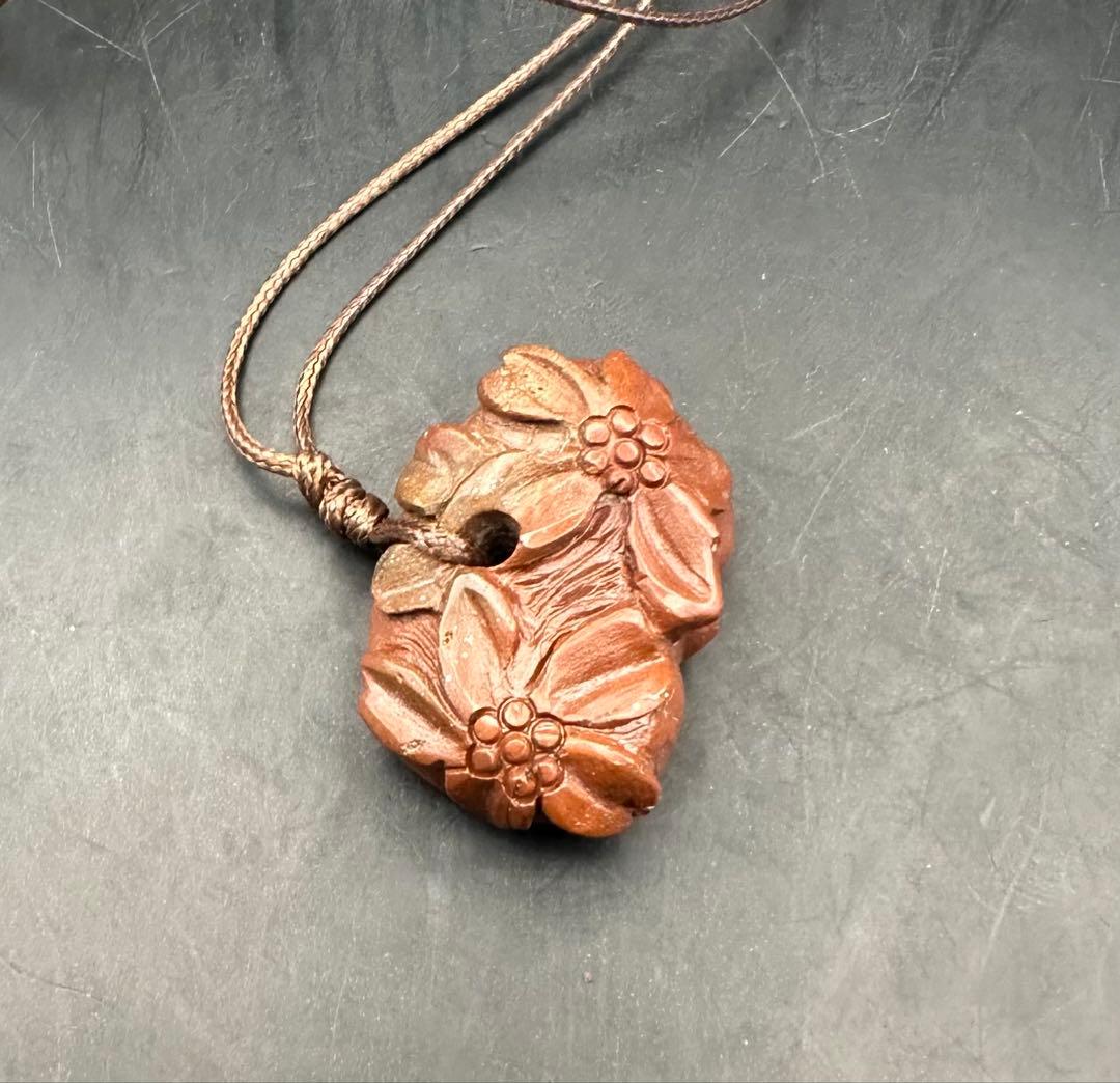 2026.2.8桜花海昼寝子犬魂玉　新潟赤玉