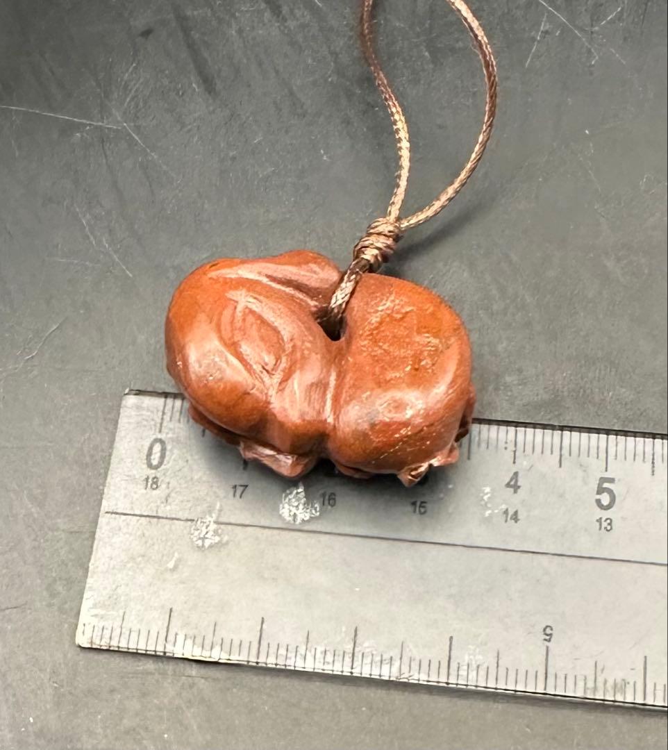 2026.2.8桜花海昼寝子犬魂玉　新潟赤玉