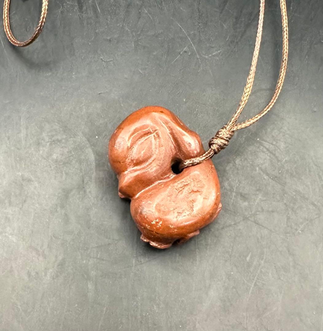 2026.2.8桜花海昼寝子犬魂玉　新潟赤玉